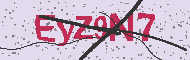 Codice captcha
