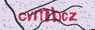 Codice captcha